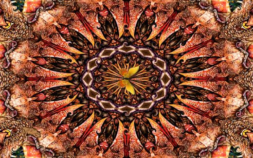 494630 (a): :1920x1200